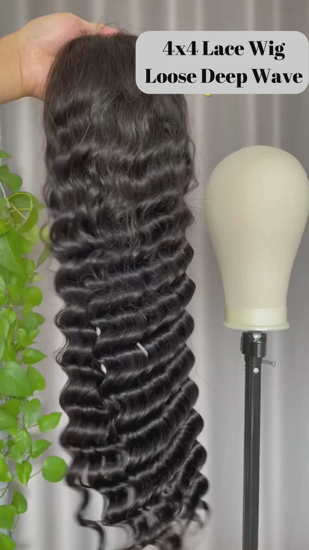 Rose Hair Loose Deep Wave 4x4 Lace Closure Wig Human Hair Wig